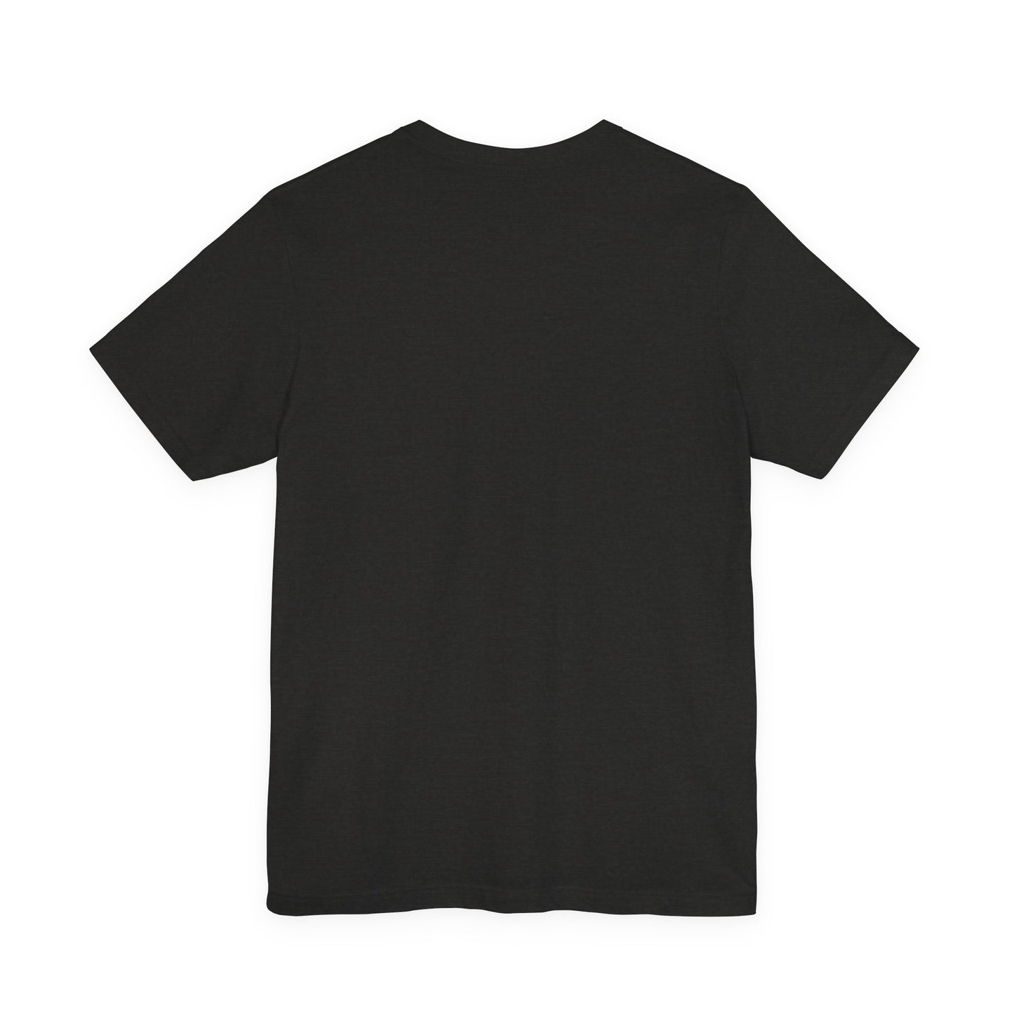 Appaloosa Horse Graphic Tee — 'Appaloosa: Spirit Horse of the Nez Perce'