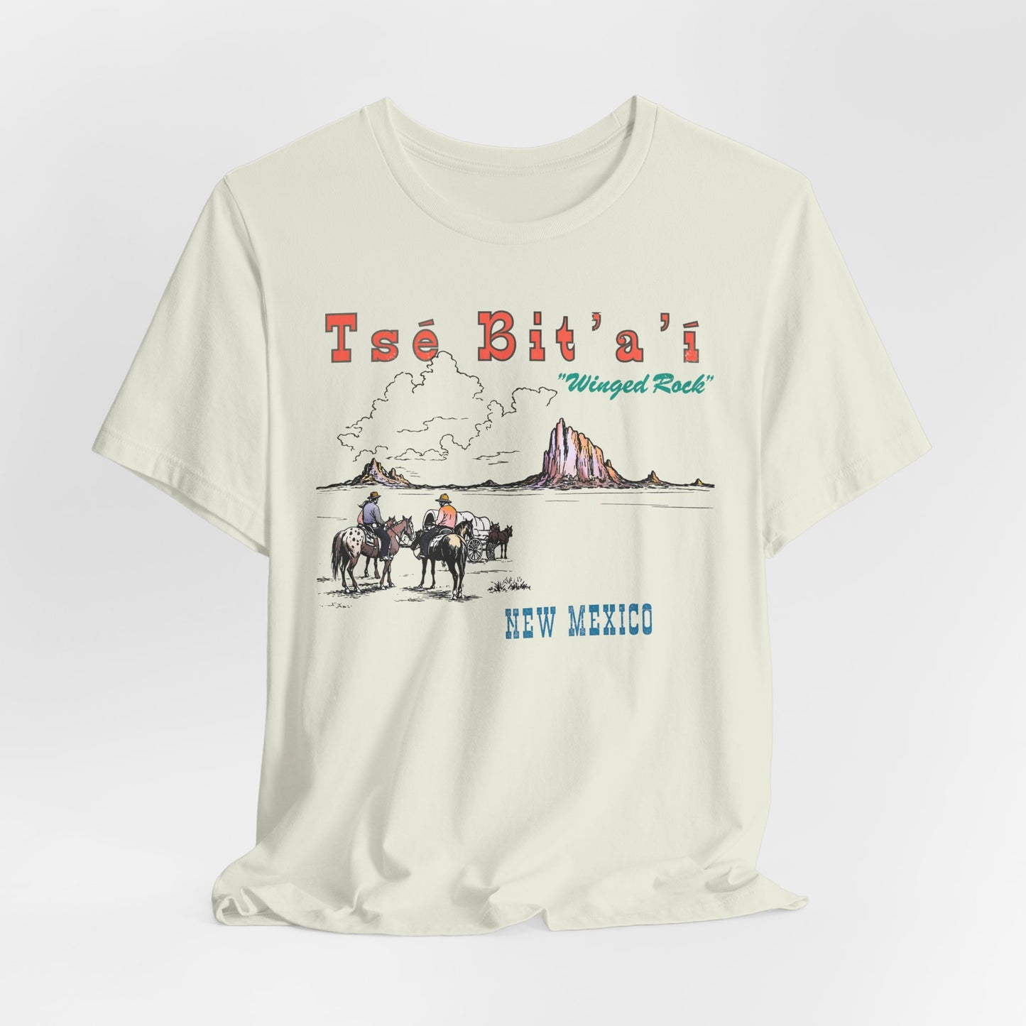 Tsé Bit’a’í  Winged Rock Shiprock Farmington New Mexico Vintage Souvenir Tee