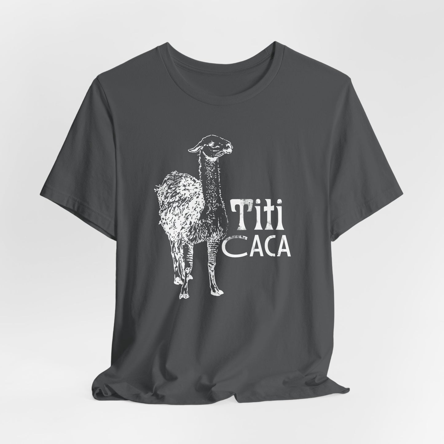 Lake Titi Caca Llama Vintage Tee — Bolivian South America Gas Station Graphic T-Shirt