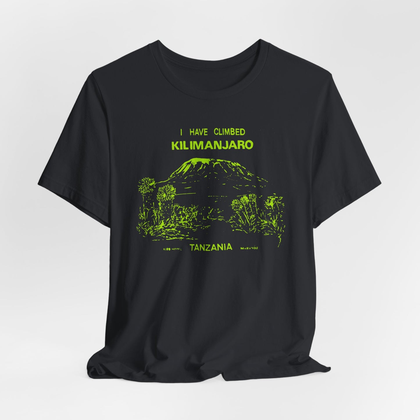 I Climbed Kilimanjaro Tanzania | Vintage Tourist Flex