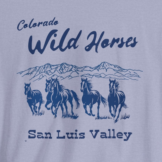 Wild Horses of San Luis Valley Southern Colorado Gas Station Vintage