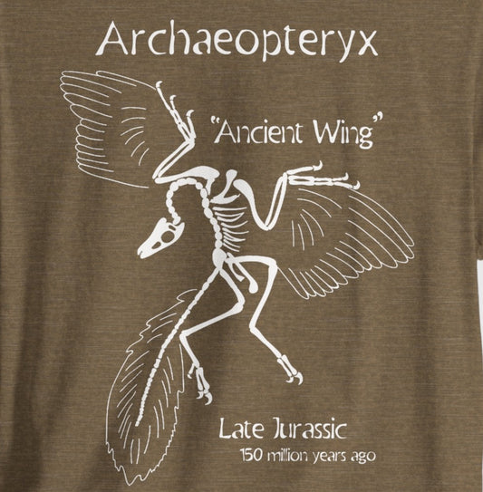 Archaeopteryx Jurassic Dinosaur Vintage Museum Nerdy Souvenir Tee