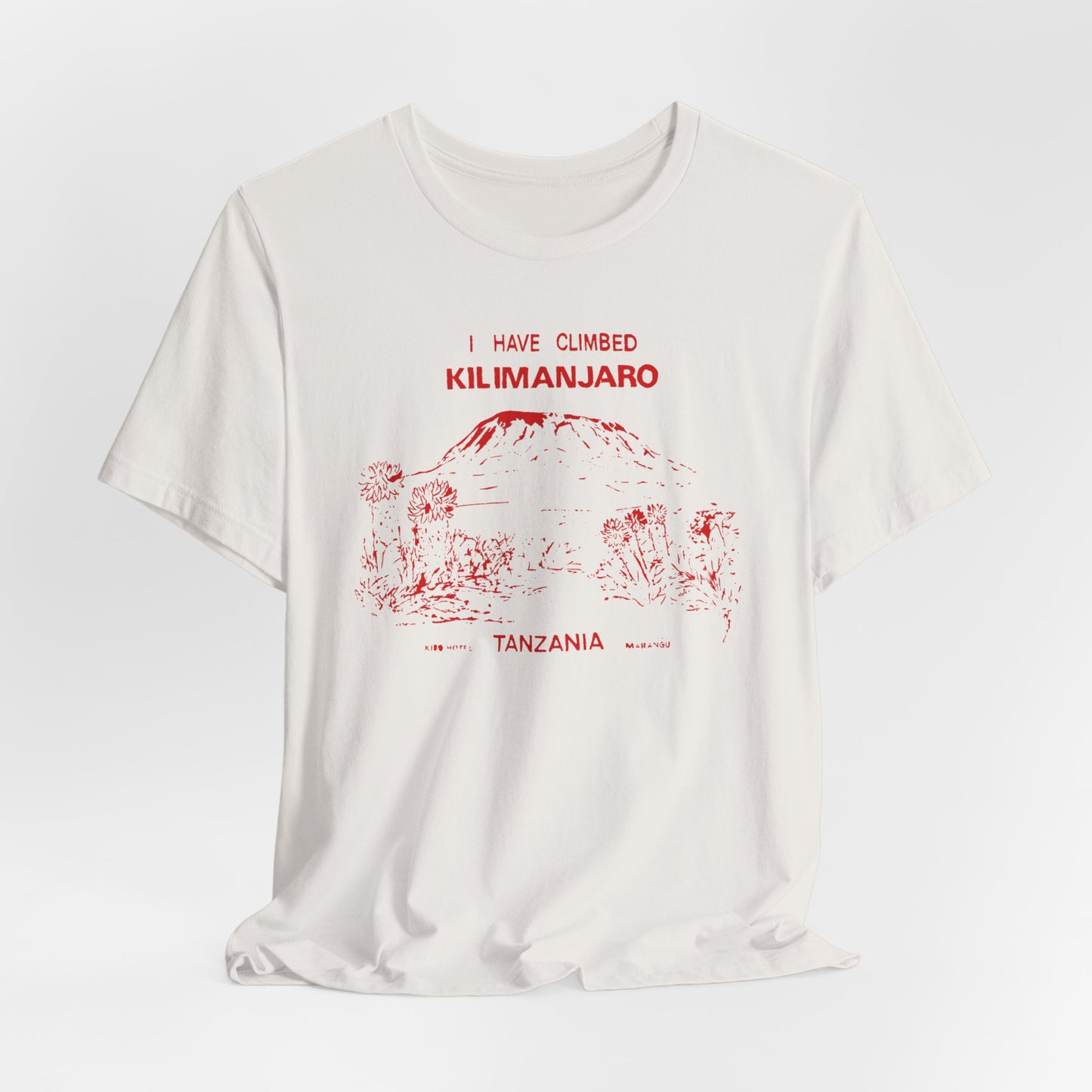 I Climbed Kilimanjaro Tanzania | Vintage Tourist Flex