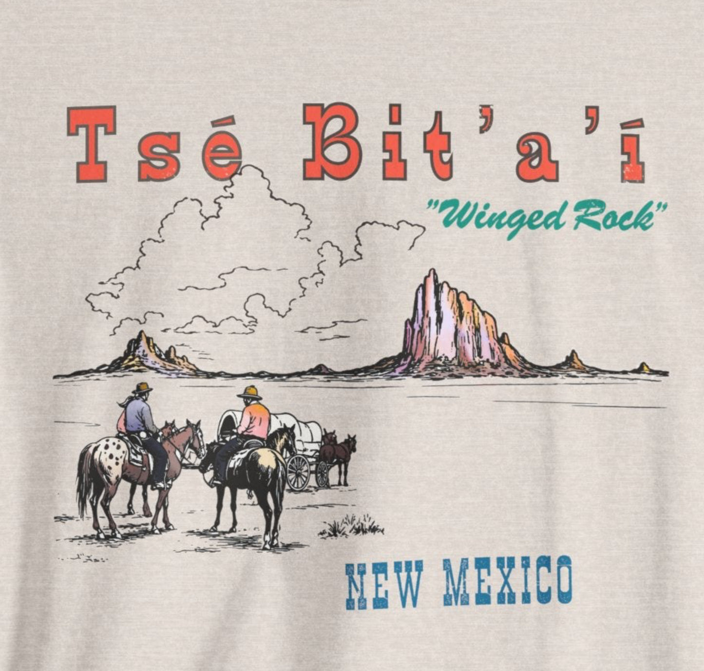 Tsé Bit’a’í  Winged Rock Shiprock Farmington New Mexico Vintage Souvenir Tee