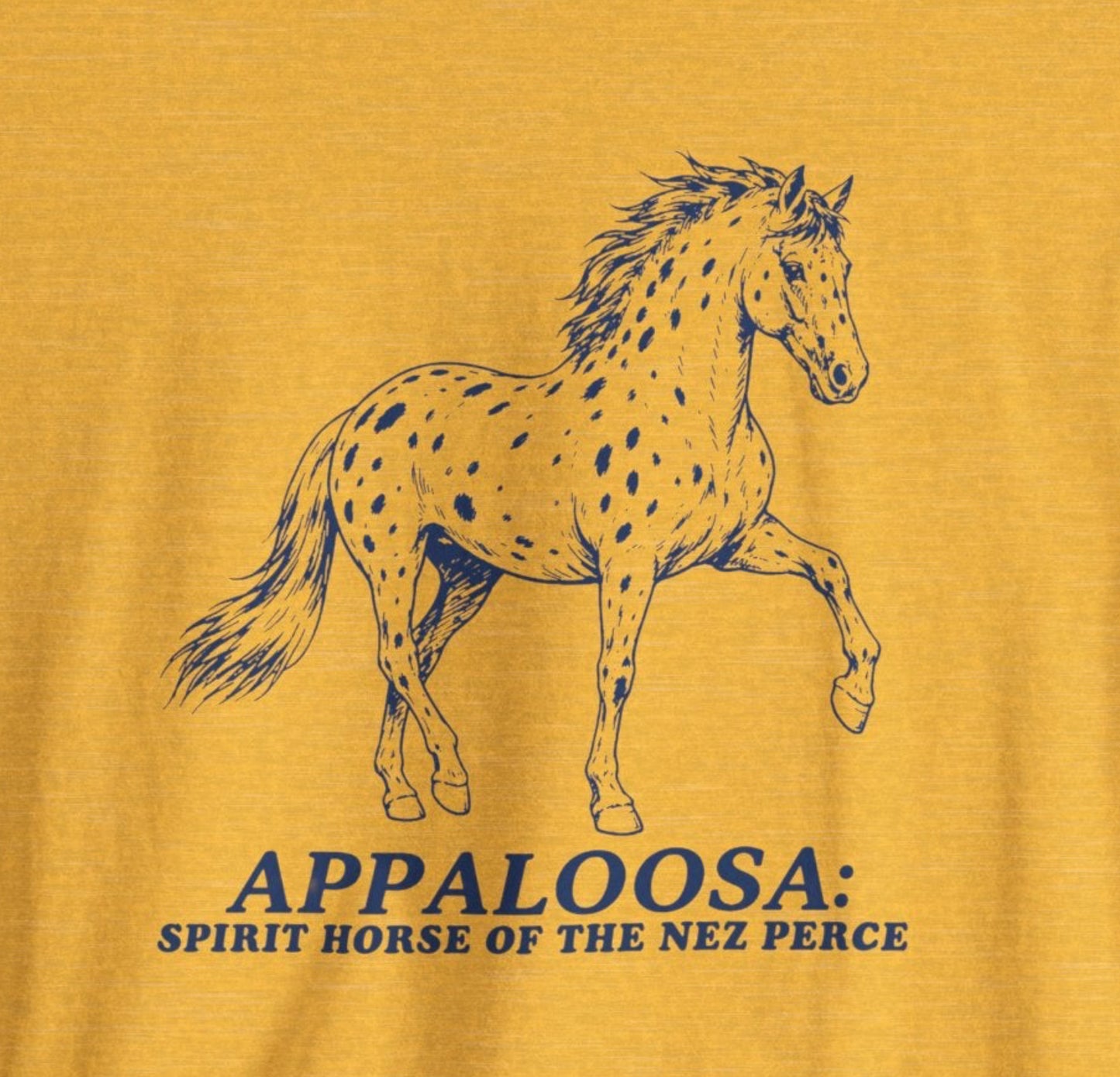 Appaloosa Horse Graphic Tee — 'Appaloosa: Spirit Horse of the Nez Perce'